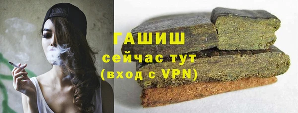 apvp Иннополис