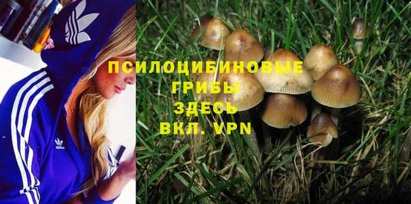 трава Инсар