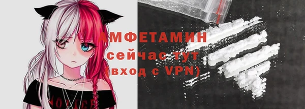 apvp Иннополис