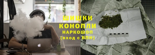 apvp Иннополис