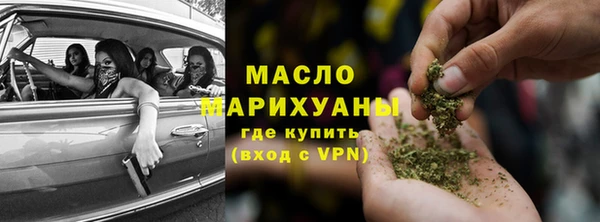 гидра Инта