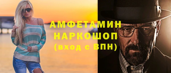 apvp Иннополис