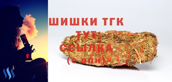 apvp Иннополис