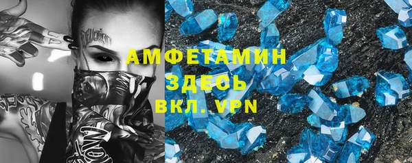 гидра Инта