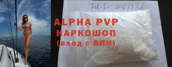 гидра Инта