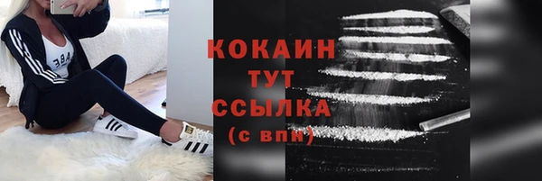 apvp Иннополис