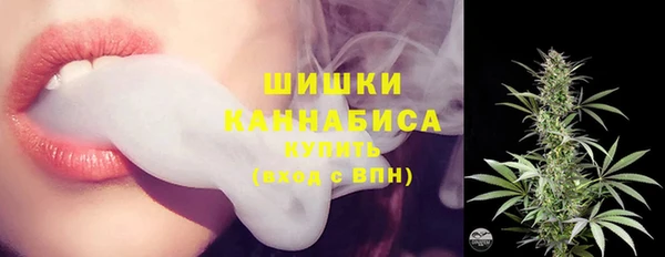 гидра Инта