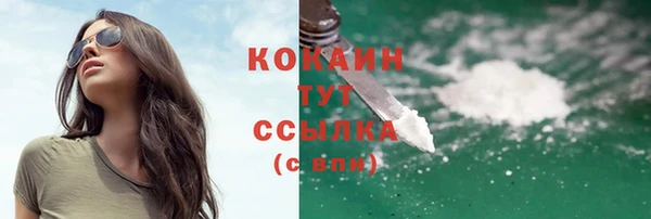 гидра Инта