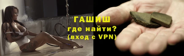 гидра Инта