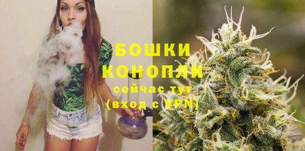 гидра Инта