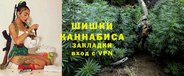 трава Инсар